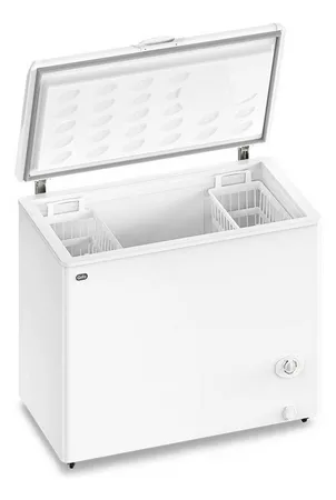 GAFA 920408760 FREEZER FGHI 300B-L INVERTE 280 L.