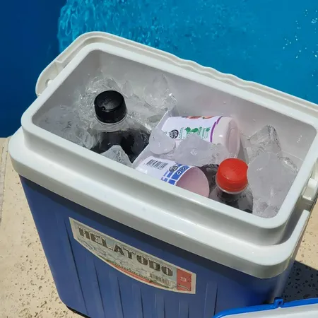 HELATODO L-12 COSERVADORA 10 LTS